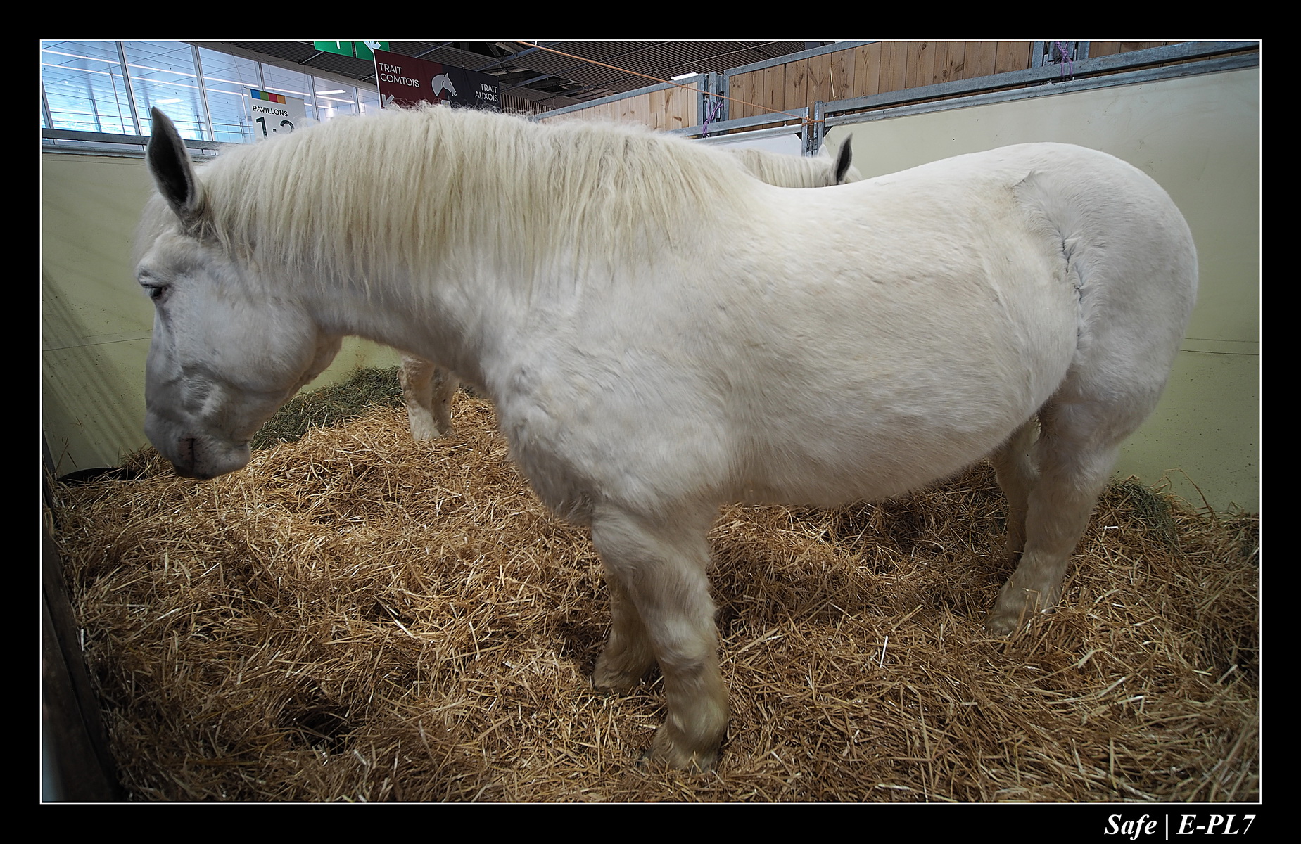 2020 - 02 - Salon agriculture 03